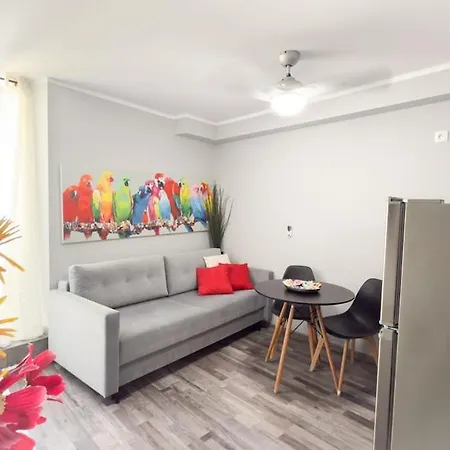 Residenza Santa Anastasia At Piazza Erbe - Lift فيرونا